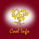 ワインバー　グットドールからの耳寄りな情報